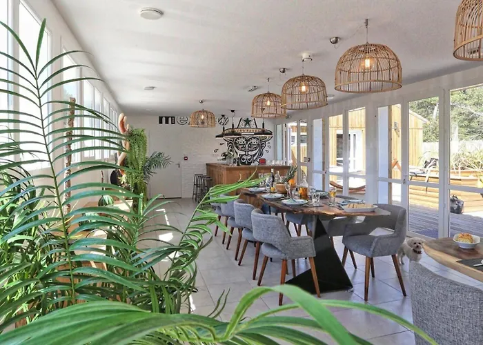 Santa Teresa - Domaine Le Sherwood