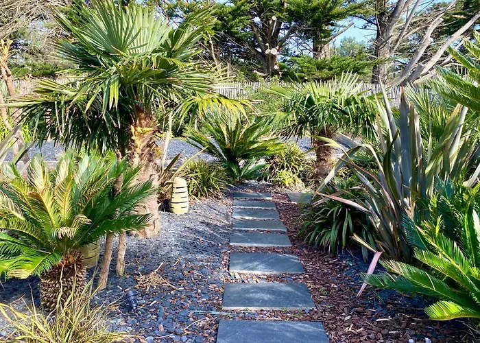 Santa Teresa - Domaine Le Sherwood Notre-Dame-de-Monts